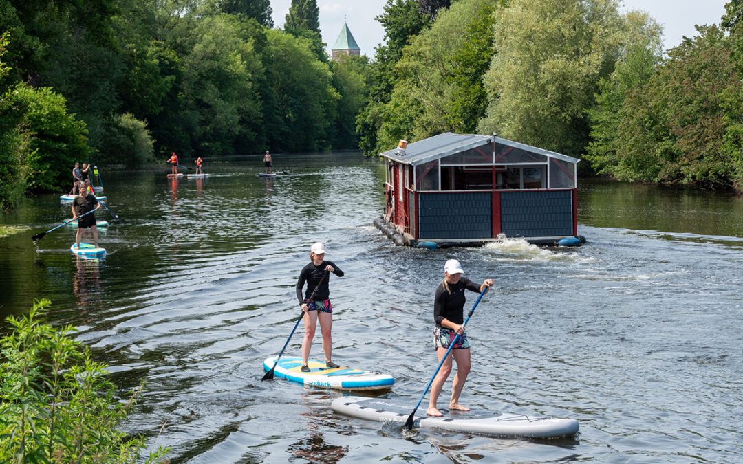 Leben in und an der Ems