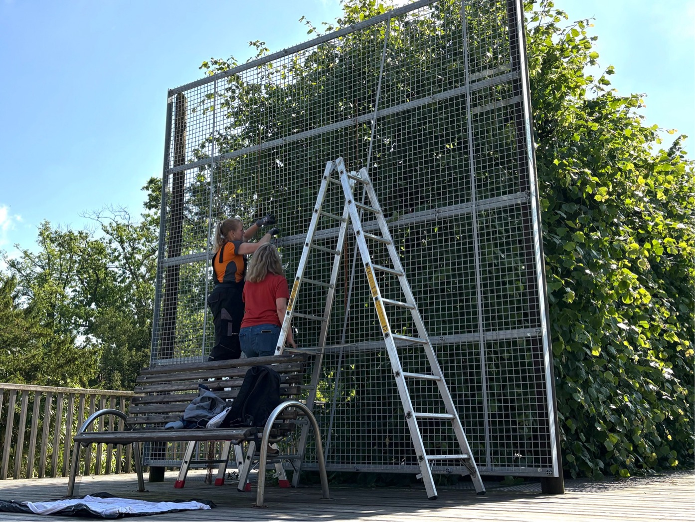 Susan Goethel Campbell mit einer Helferin bei der Arbeit an der Installation im Salinenpark